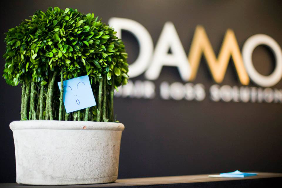 Hair Loss Clinic DAMO gallery photo